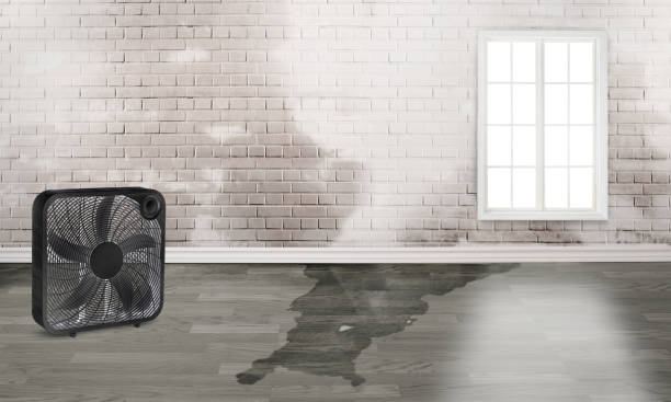Best 24-hour water damage restoration  in Krugerville, TX